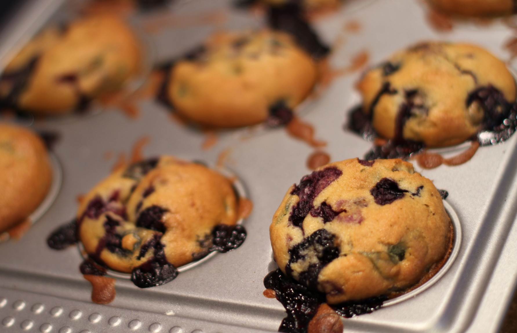 Blueberry & Basil Muffins